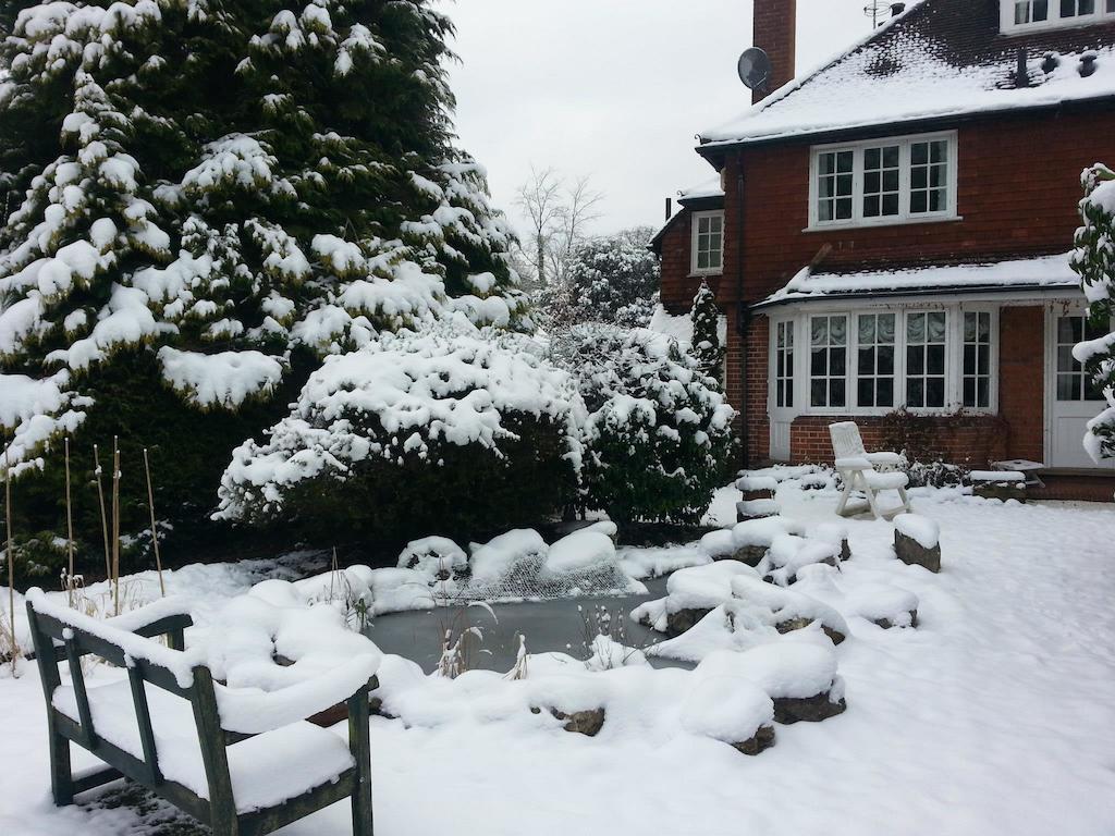 Rosemead Guest House Claygate Εξωτερικό φωτογραφία