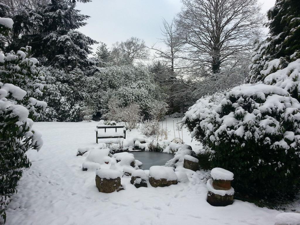 Rosemead Guest House Claygate Εξωτερικό φωτογραφία