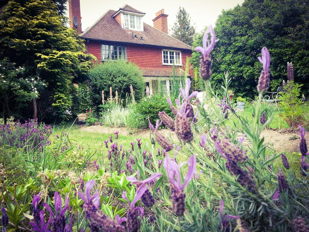 Rosemead Guest House Claygate Εξωτερικό φωτογραφία